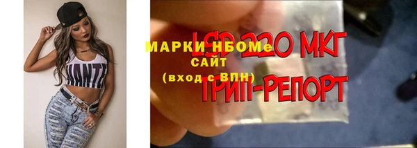 скорость Верхний Тагил